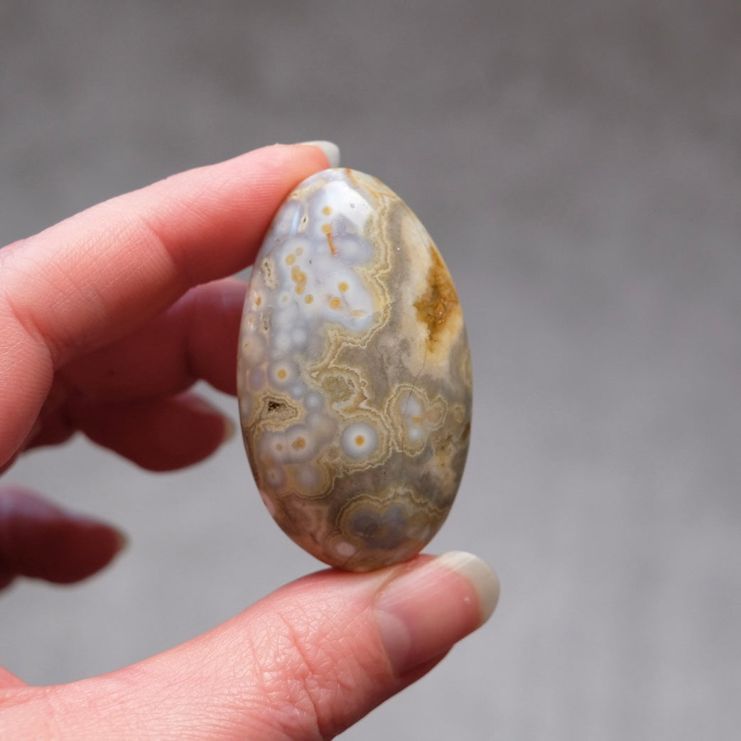 Ocean Jasper Palm | OJ Crystal Pocket Stone