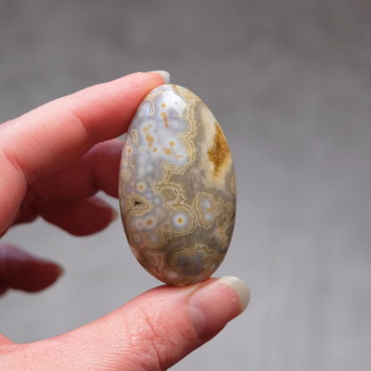 Ocean Jasper Palm | OJ Crystal Pocket Stone