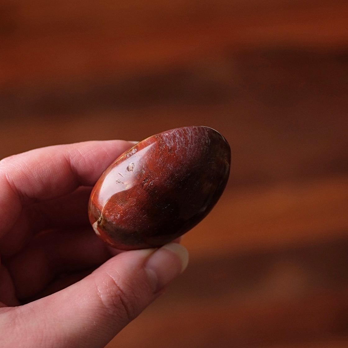Red Petrified Wood Palm | Fossilized Wood Crystal Palmstone