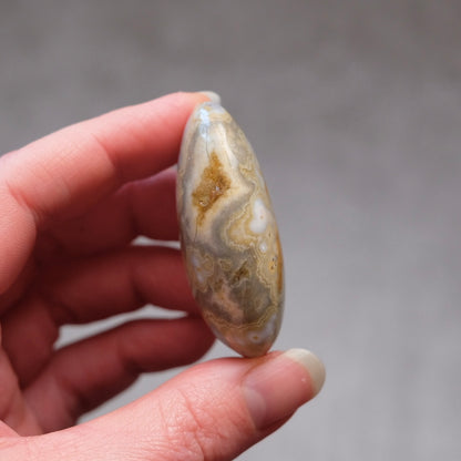 Ocean Jasper Palm | OJ Crystal Pocket Stone