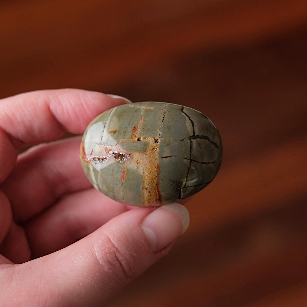 Ibis Jasper Palm | Brecciated Jasper Crystal Palmstone