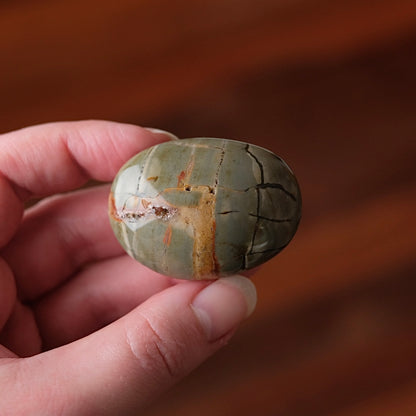 Ibis Jasper Palm | Brecciated Jasper Crystal Palmstone
