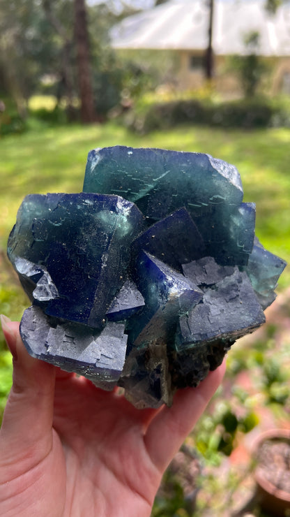 Nigeria Sunshine Fluorite | Colour Change Fluorite Specimen