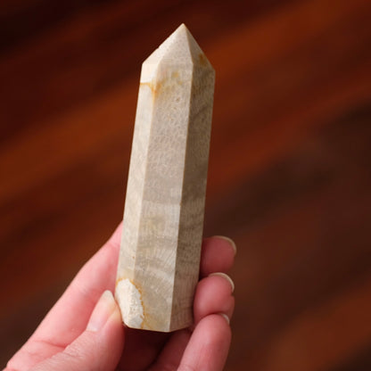 Coral Fossil Point | Coral Crystal Tower