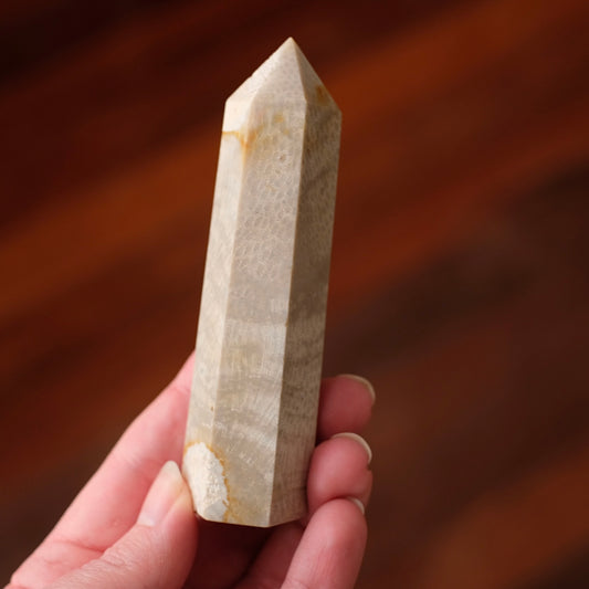 Coral Fossil Point | Coral Crystal Tower