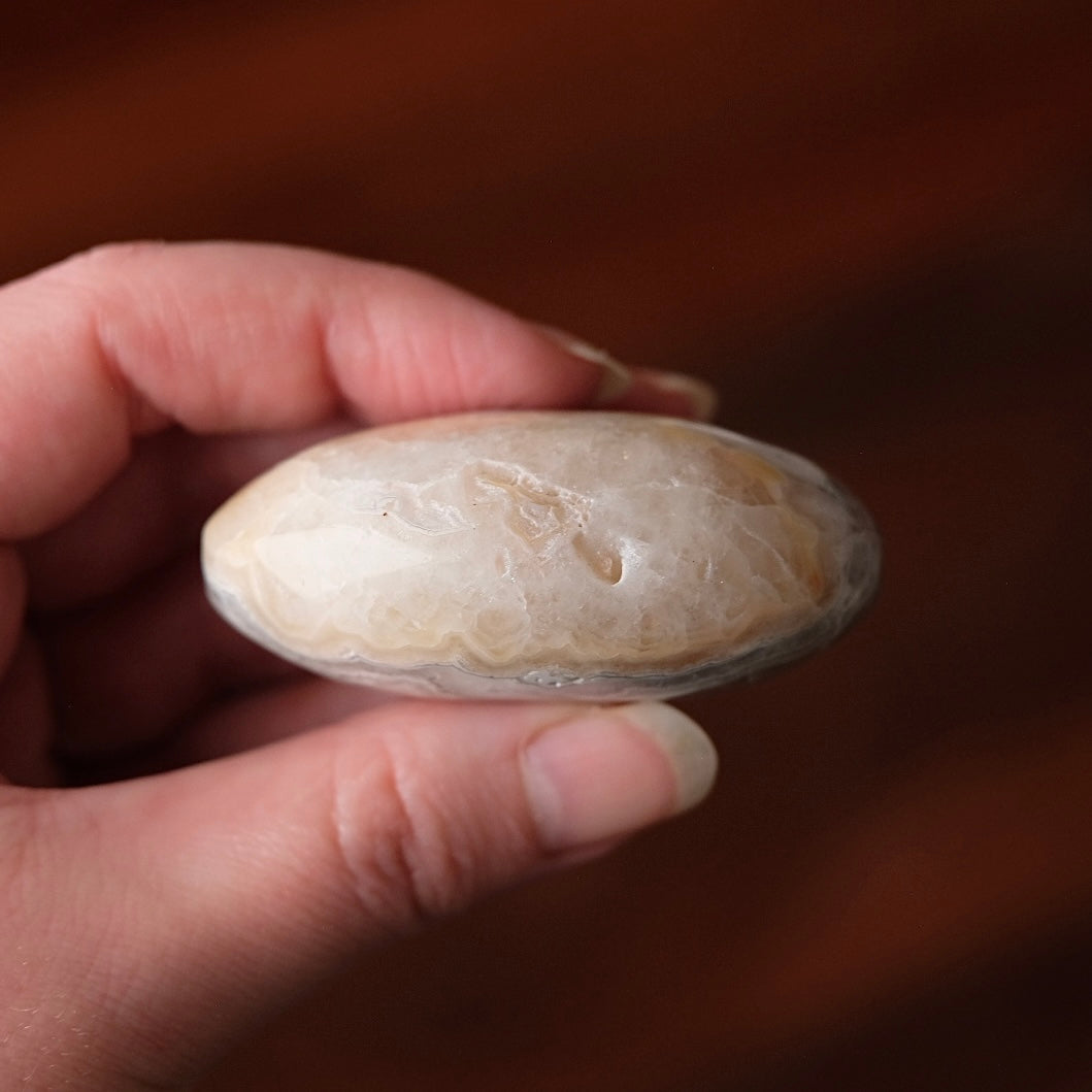 Crazy Lace Agate Palm | Mexican Crazy Lace Crystal Palm