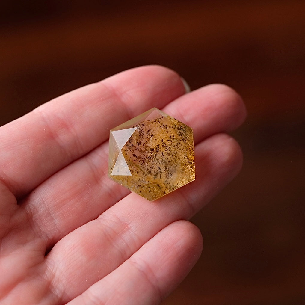 Dendritic Quartz Hexagon | Golden Healer Crystal Jewel | Star of David