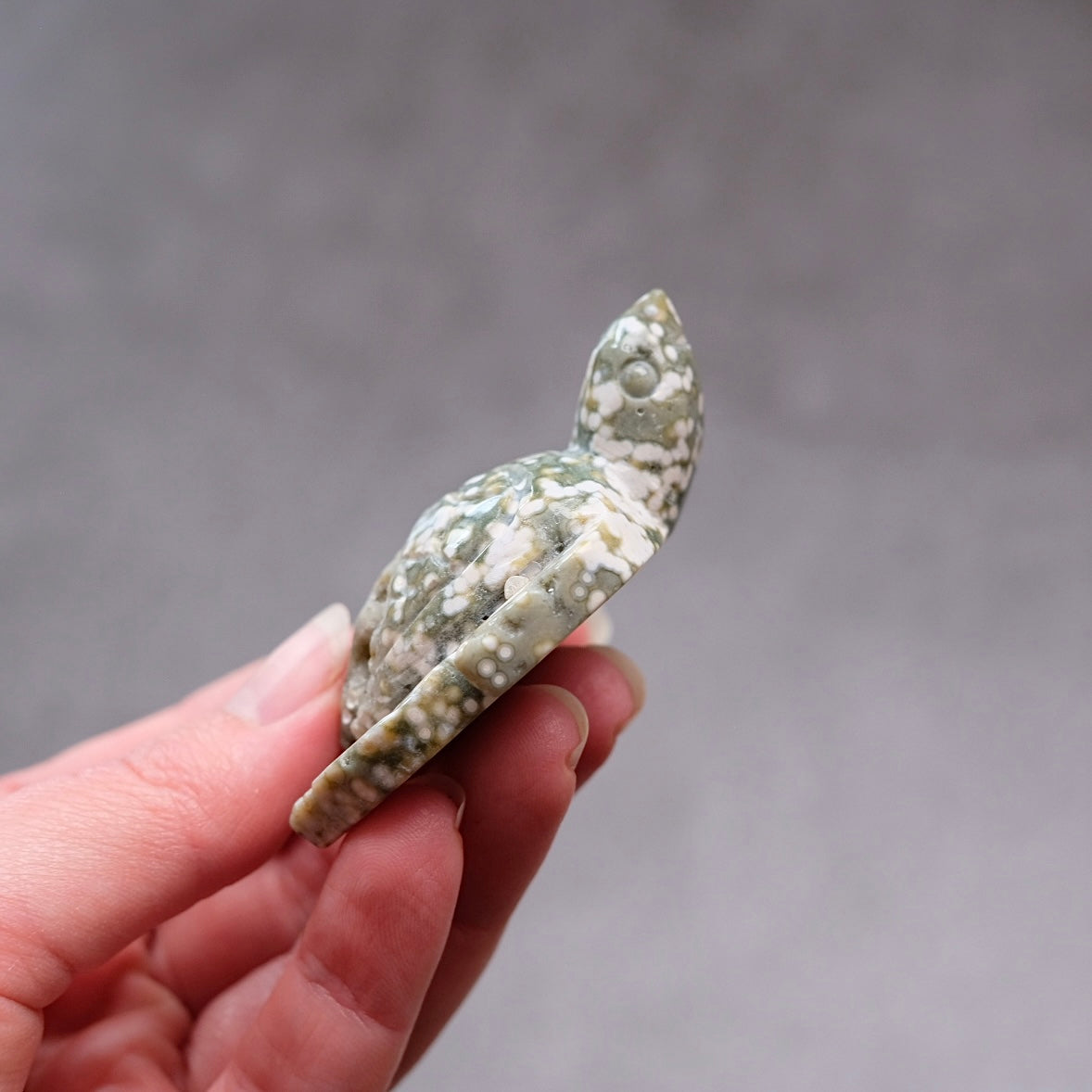Ocean Jasper Turtle Carving | Crystal Animal | Druzy Crystal Turtle