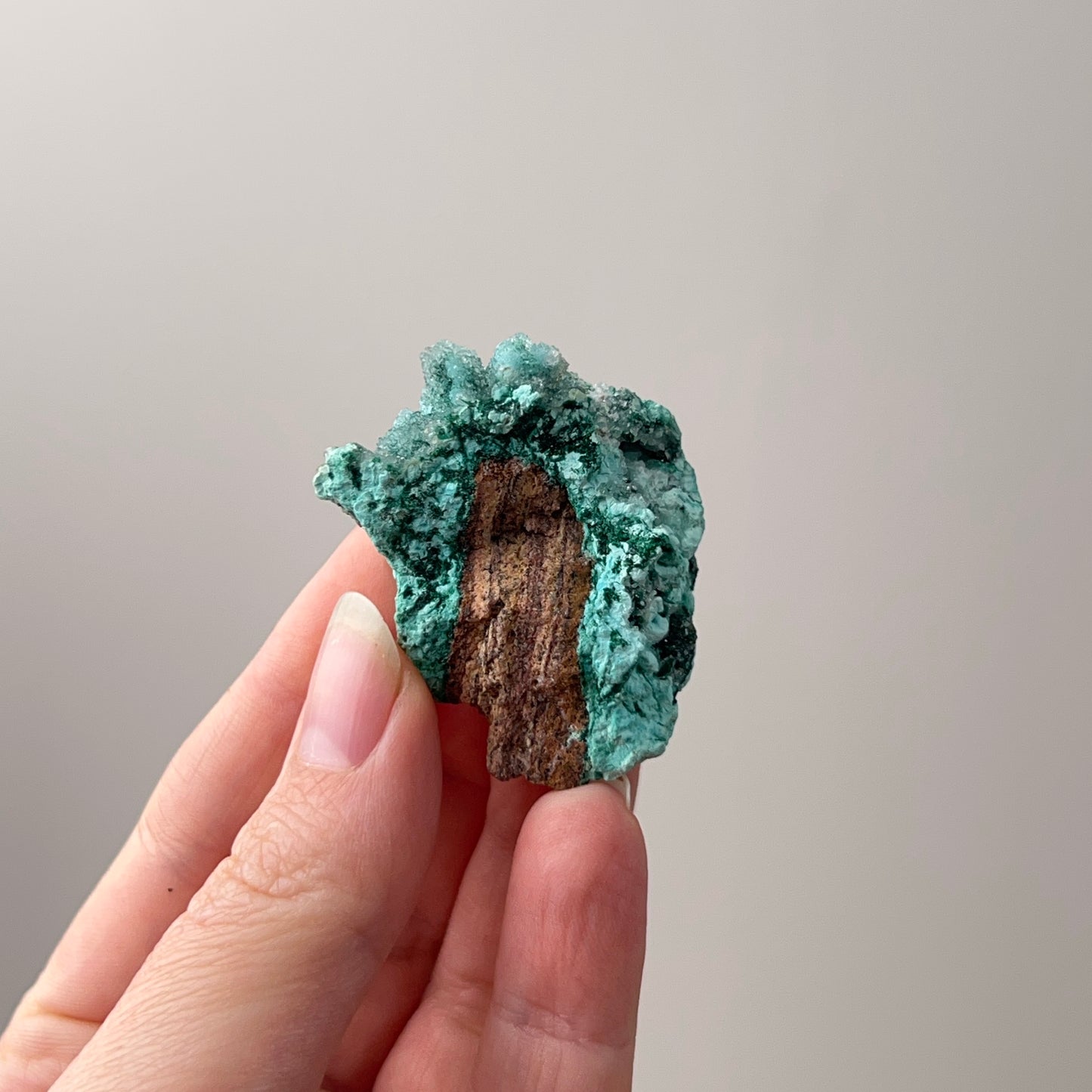 Druzy Chrysocolla Specimen | Chrysocolla with Malachite