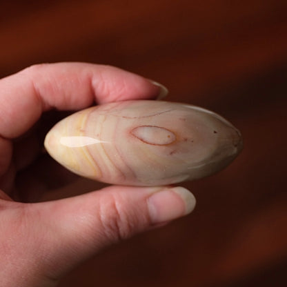 Polychrome Jasper Palm | Jasper Crystal Palmstone