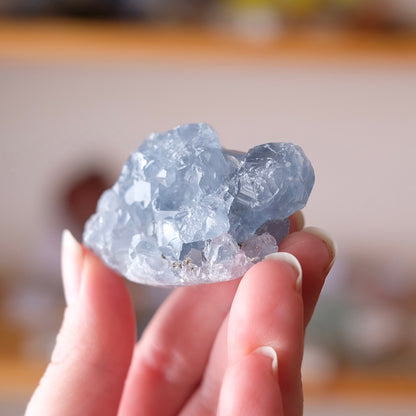 Blue Celestite Cluster | Celestine Crystal Specimen