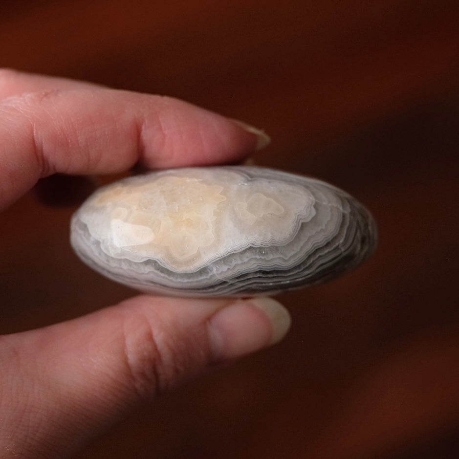 Crazy Lace Agate Palm | Mexican Crazy Lace Crystal Palm