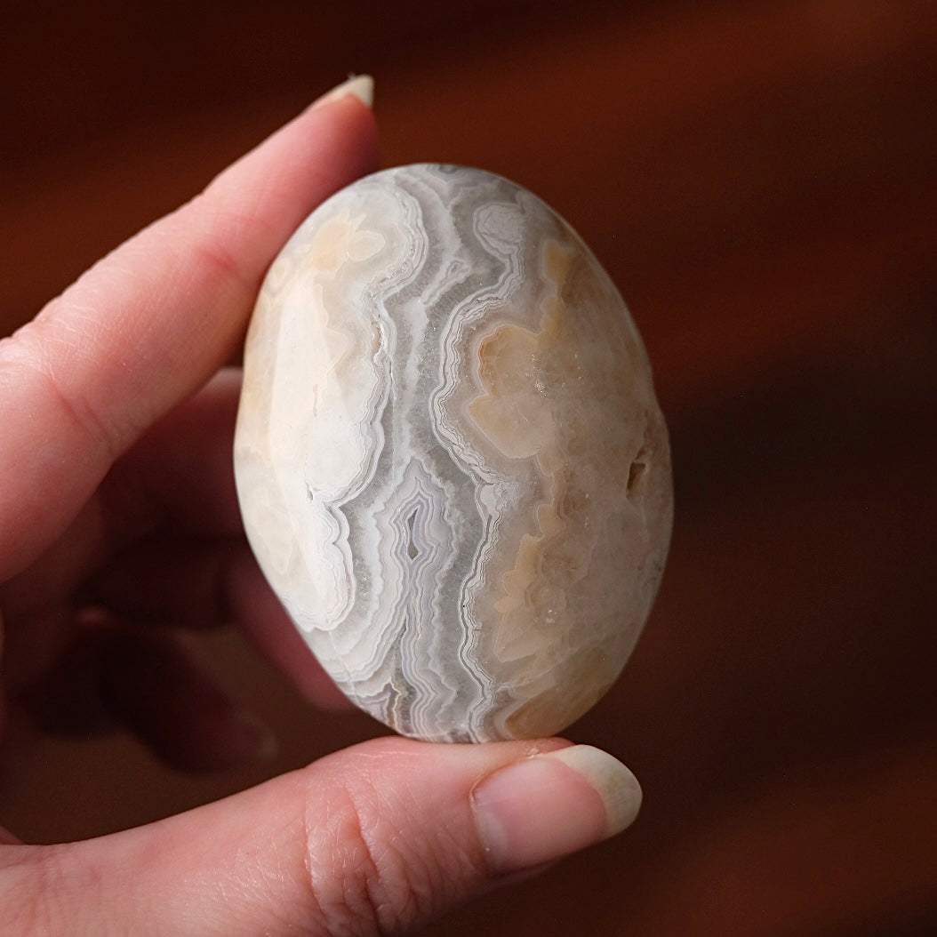 Crazy Lace Agate Palm | Mexican Crazy Lace Crystal Palm