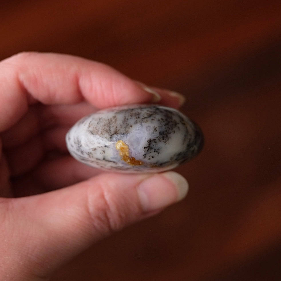 Merlinite Palm Stone | Dendritic Opal Palmstone