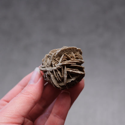 Desert Rose Selenite Specimen | Gypsum Raw Crystal