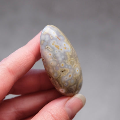 Ocean Jasper Palm | OJ Crystal Pocket Stone