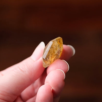 Dendritic Quartz Hexagon | Golden Healer Crystal Jewel | Star of David