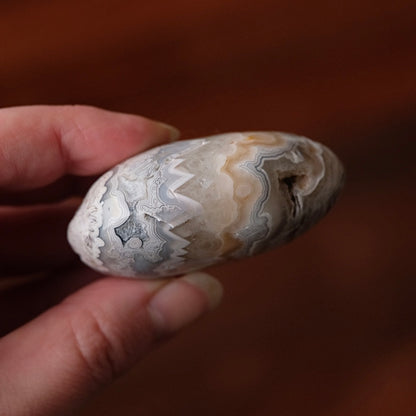 Crazy Lace Agate Palm | Mexican Crazy Lace Crystal Palm