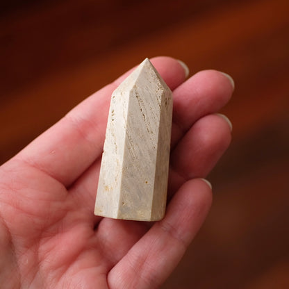 Coral Fossil Point | Coral Crystal Tower