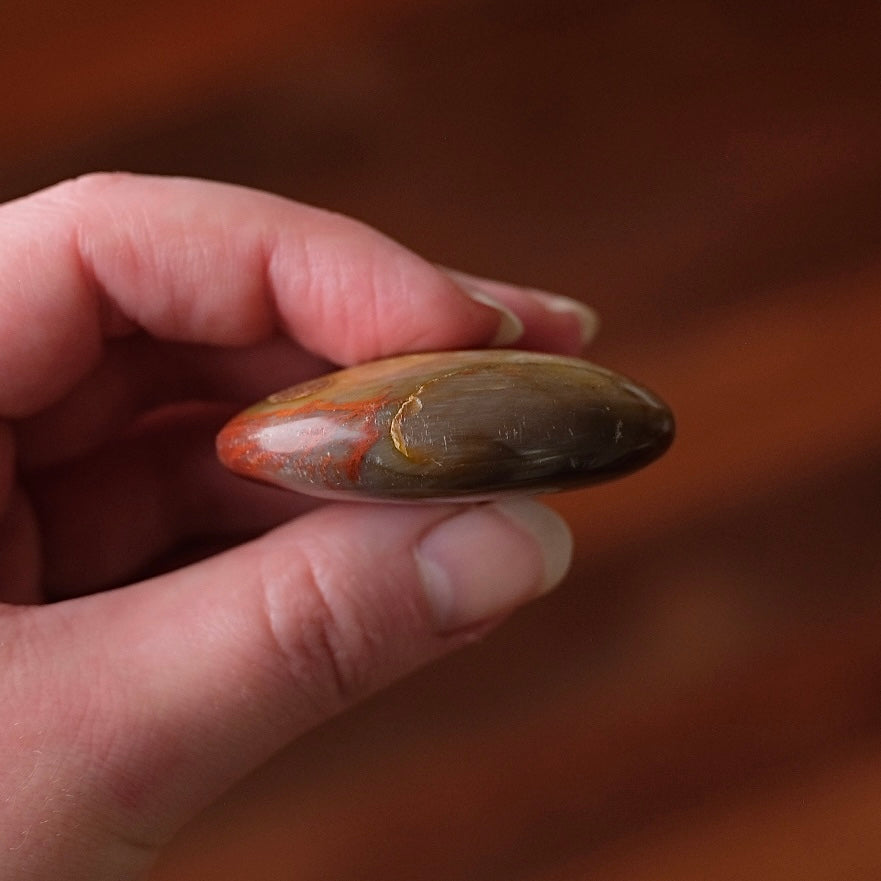 Red Petrified Wood Palm | Fossilized Wood Crystal Palmstone