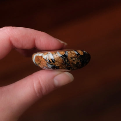 Rare Mammoth Molar Palm | Real Polished Wooly Mammoth Molar Tooth