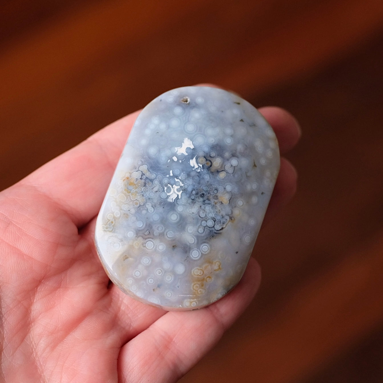 Ocean Jasper Palm | Blue Ocean Jasper Crystal Palmstone