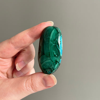 Malachite Palm | Malachite Chrysocolla Crystal Palm