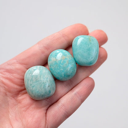 Set of 3 Amazonite Tumbles | Amazonite Tumbled Crystal