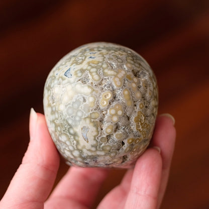 Ocean Jasper Crystal Skull | Orbicular Jasper Stone Skull