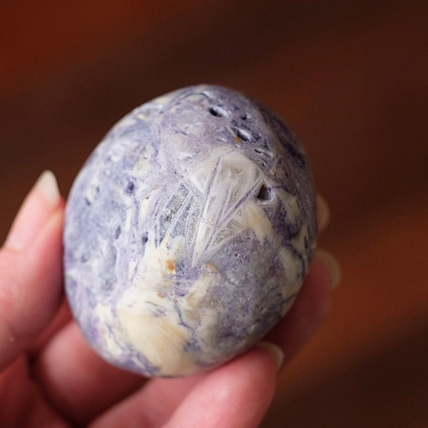 Opalized Sagenitic Fluorite Palm | Crystal Palmstone