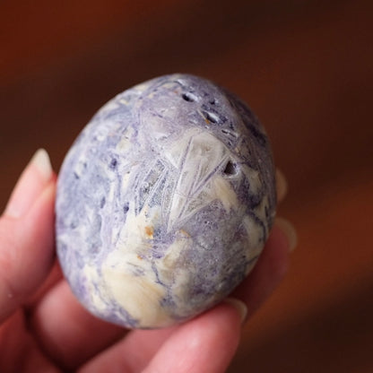 Opalized Sagenitic Fluorite Palm | Crystal Palmstone