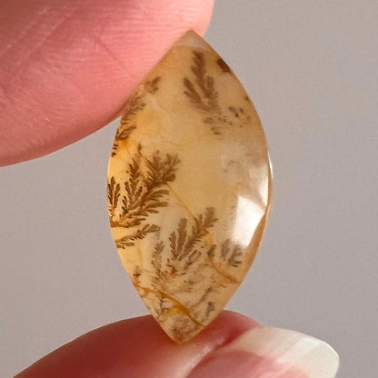 Dendritic Golden Healer Quartz | Crystal Cab