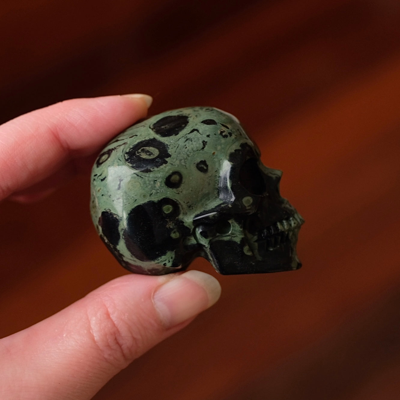 Kambaba Jasper Crystal Skull | Kambaba Skull Crystal