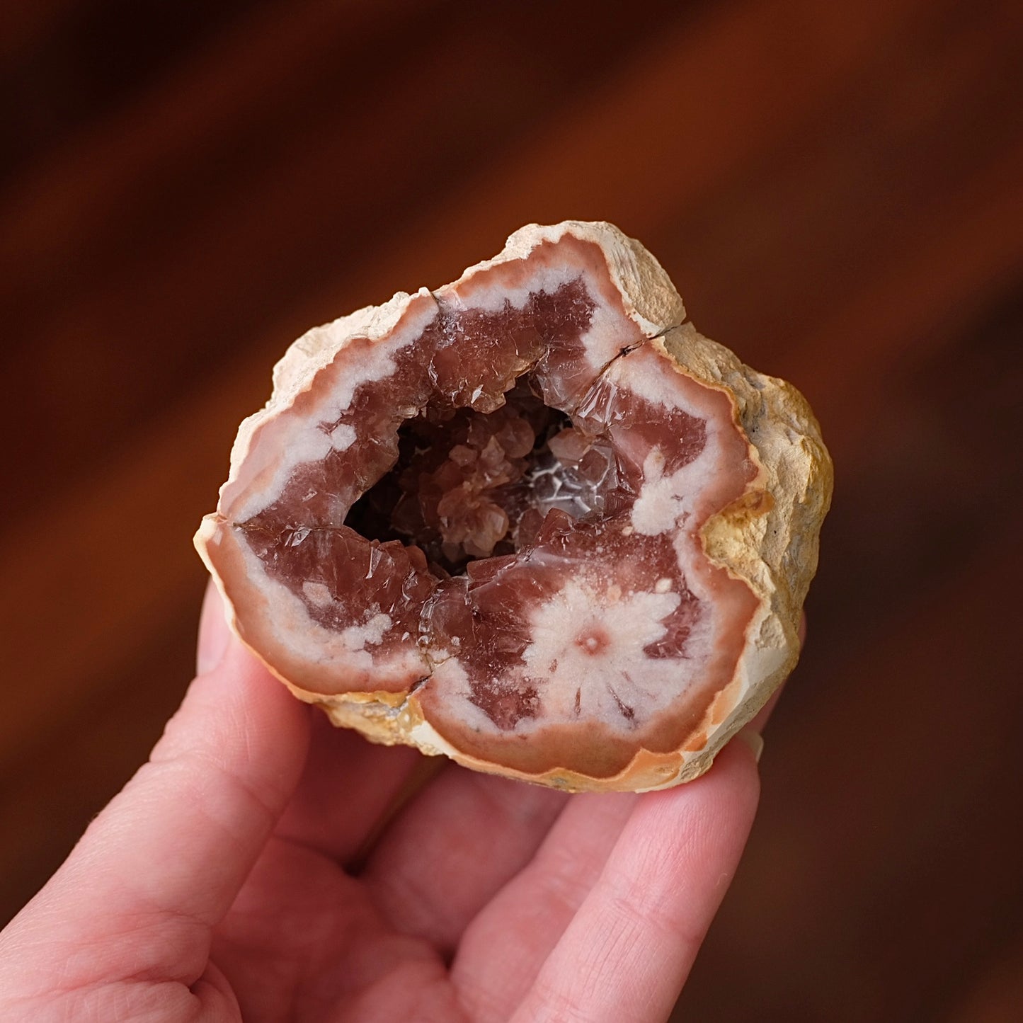 Raspberry Pink Amethyst Geode | Polished Pink Amethyst Crystal Specimen 1
