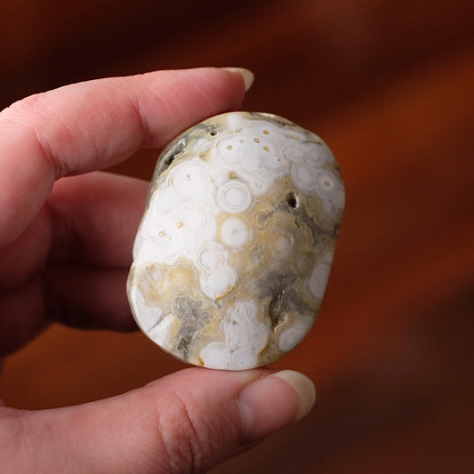 Ocean Jasper Palm | Sea Jasper Crystal Palmstone