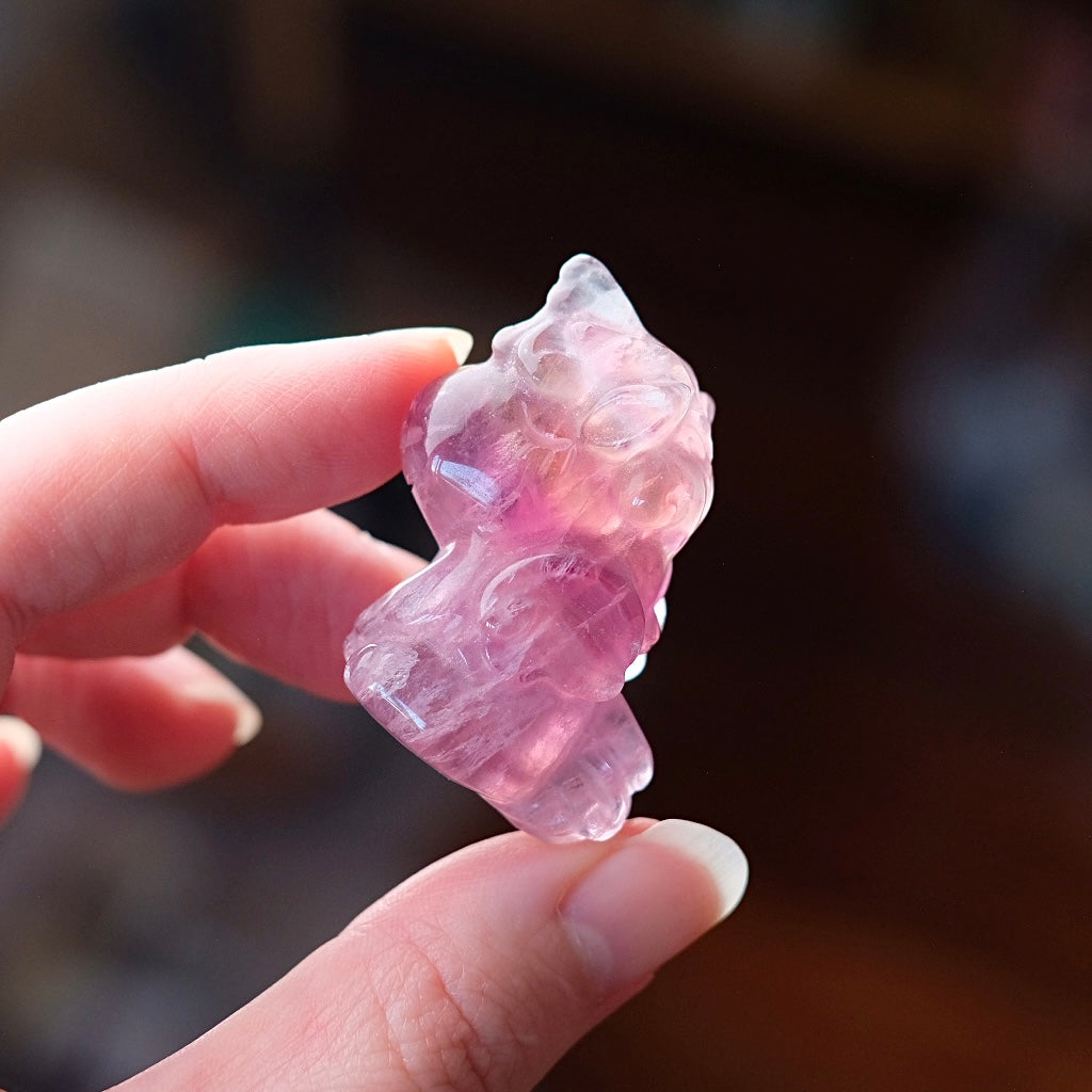 Fluorite Unicorn Carving | Baby Unicorn Rainbow Fluorite Animal
