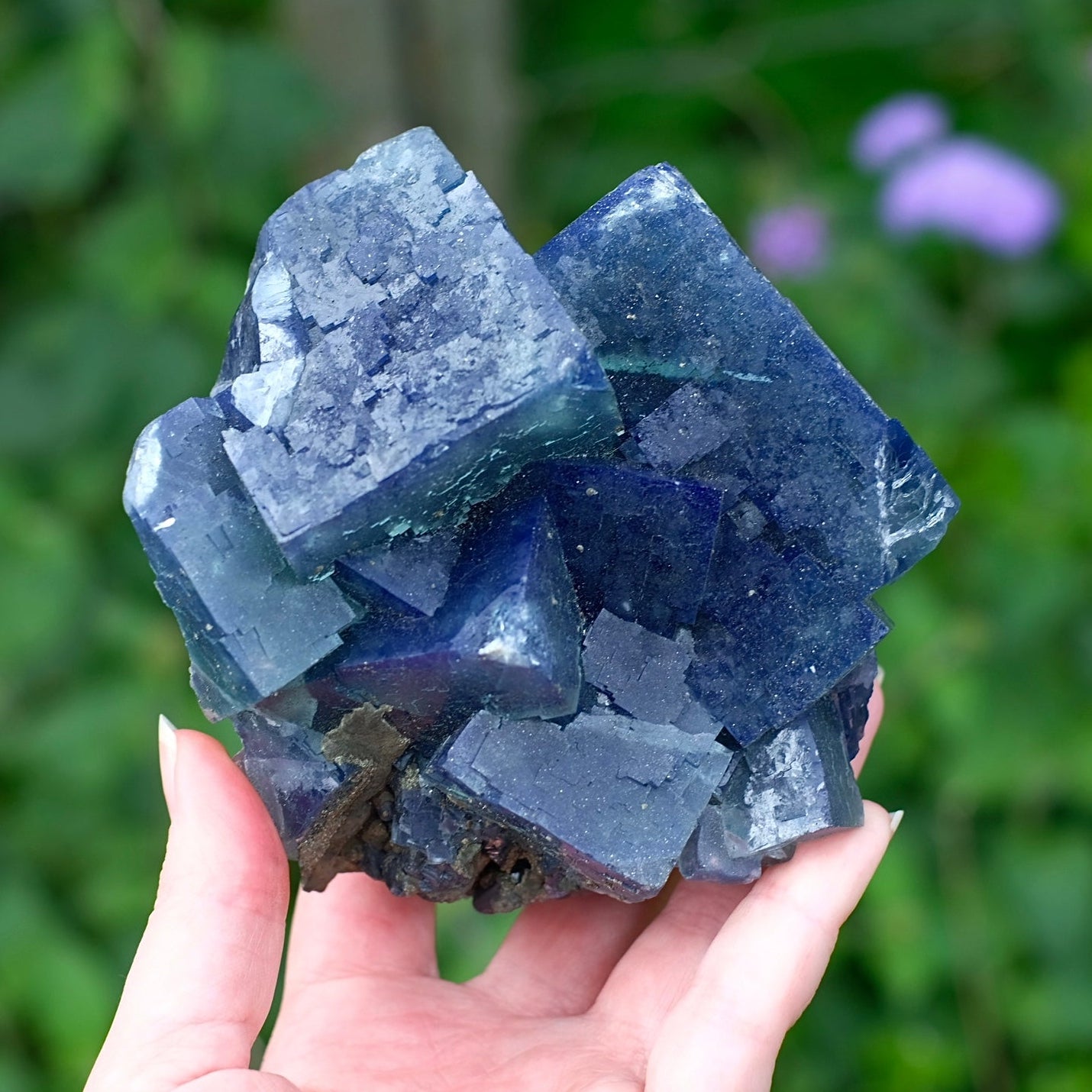 A person's hand holding a large blue fluorite crystal cluster against a blurred green garden background.