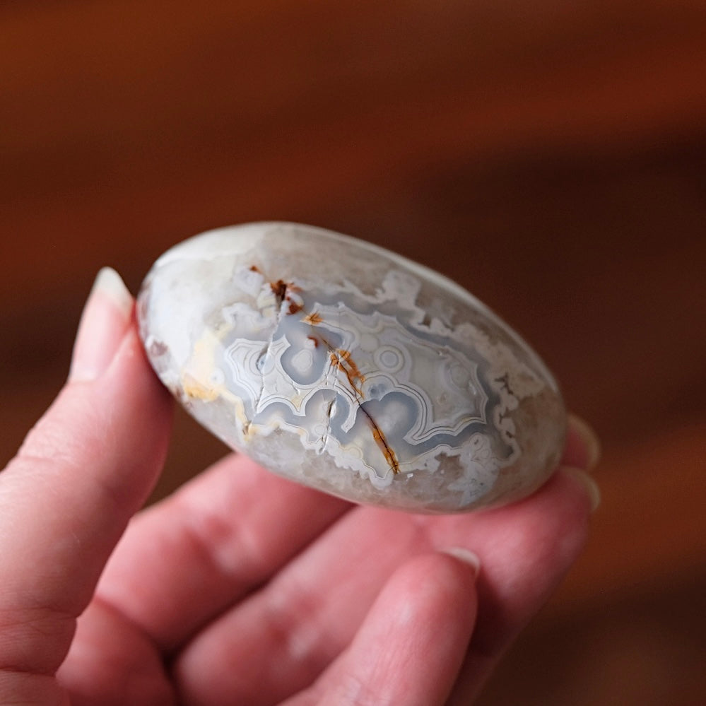 Grey Crazy Lace Agate Palm | Mexican Crazy Lace Crystal Palm