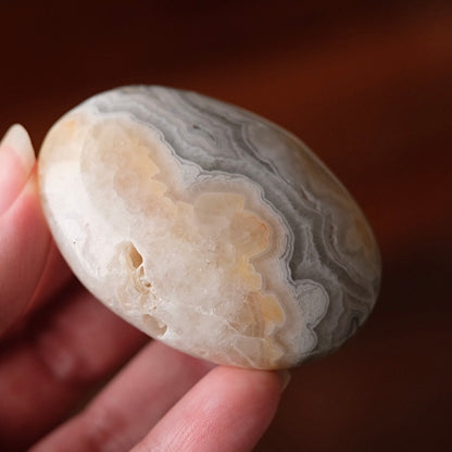 Crazy Lace Agate Palm | Mexican Crazy Lace Crystal Palm