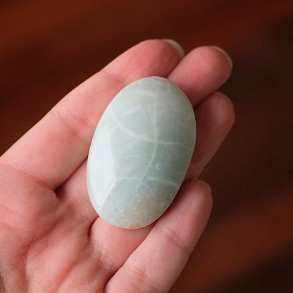 Rare Blue Flower Agate Palm | Green Flower Agate Palm