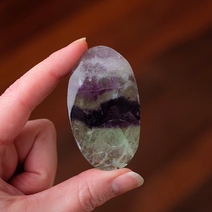 Pretty Fluorite Palm | Rainbow Fluorite Crystal Palm Stone