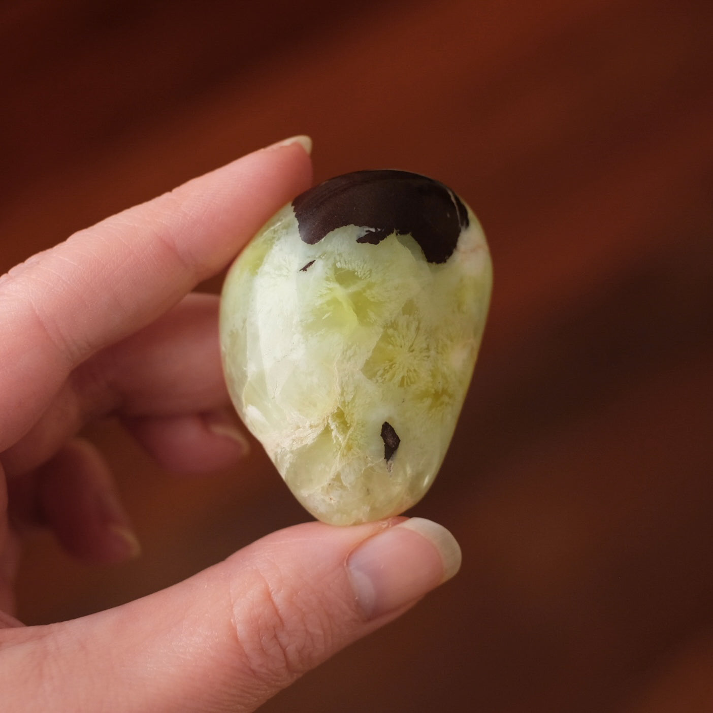Australian Prehnite Freeform | Polished Prehnite Crystal