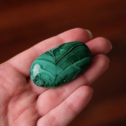 Malachite Palm | Malachite Chrysocolla Crystal Palm