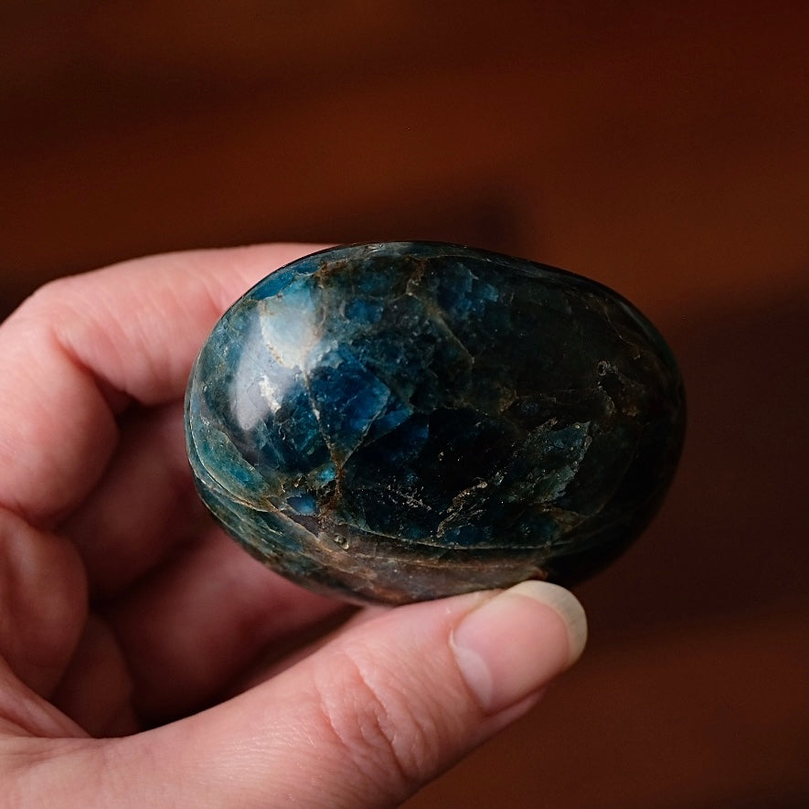 XL Apatite Palm | Dark Teal Blue Apatite Crystal Palmstone