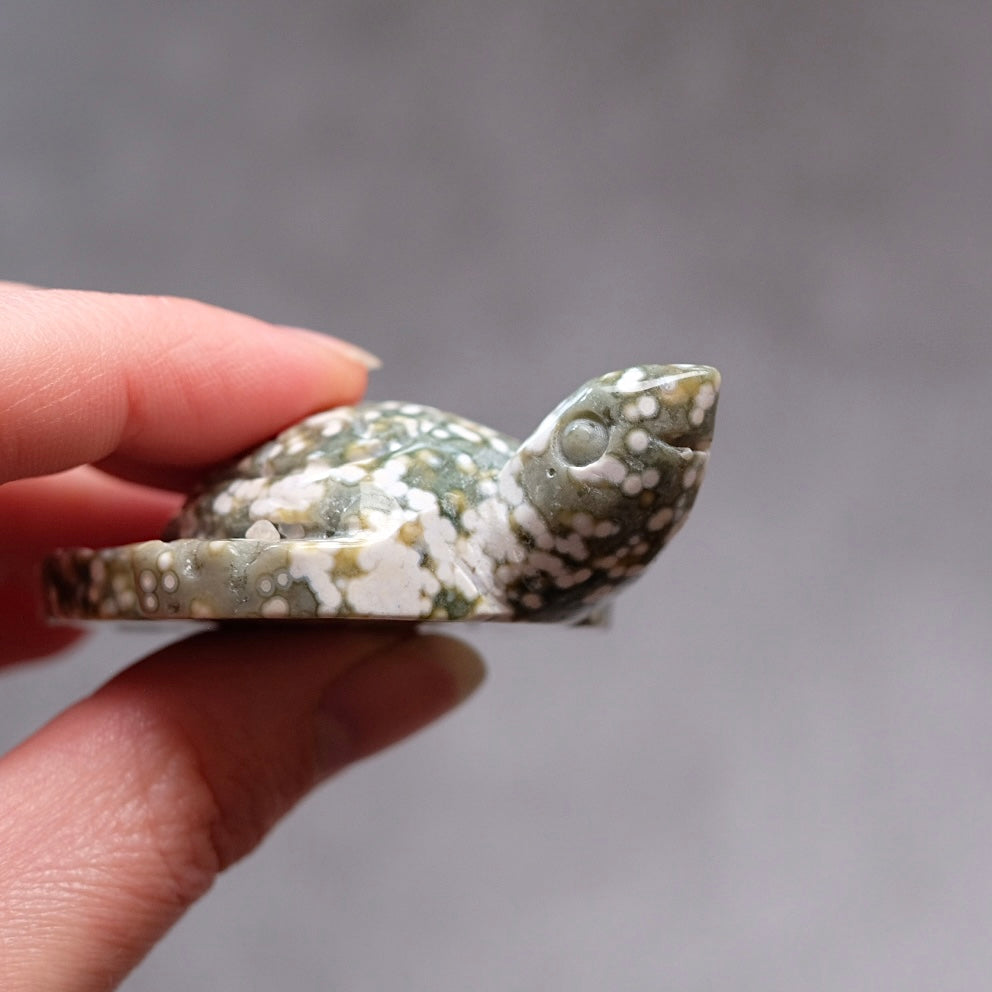 Ocean Jasper Turtle Carving | Crystal Animal | Druzy Crystal Turtle