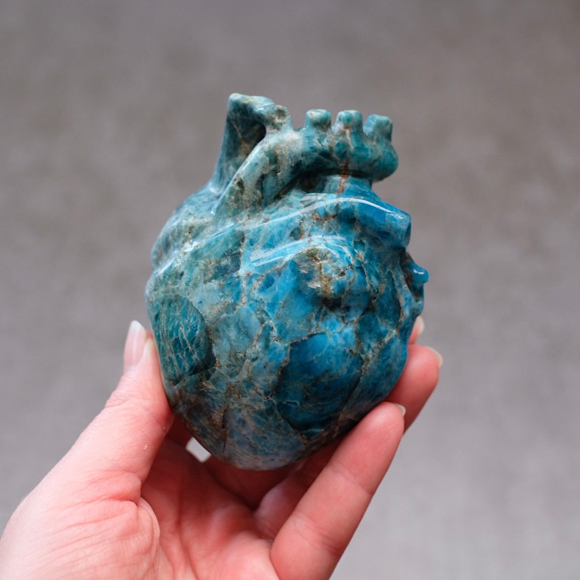 Apatite Anatomical Heart Carving | Human Crystal Heart