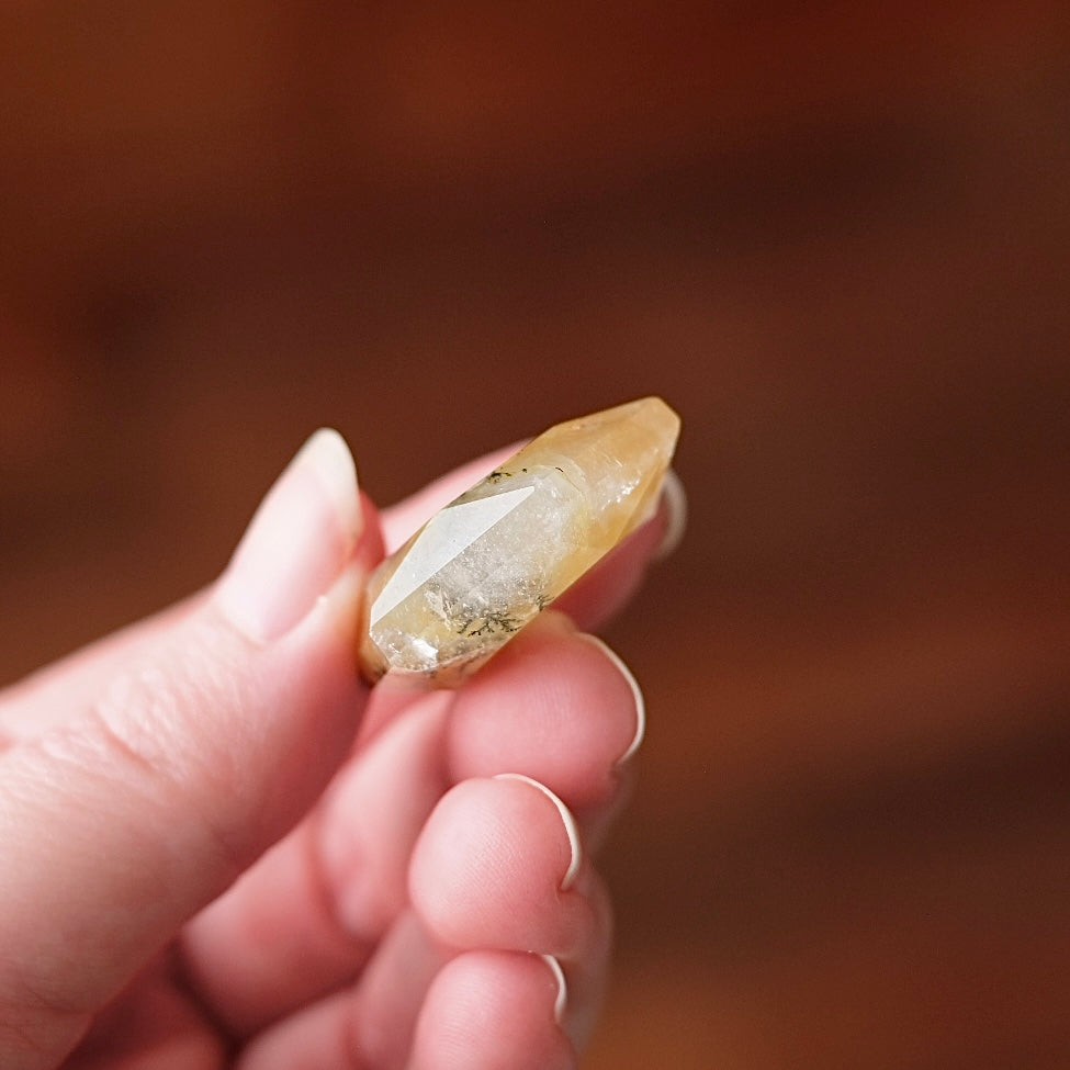 Dendritic Quartz Hexagon | Golden Healer Crystal Jewel | Star of David