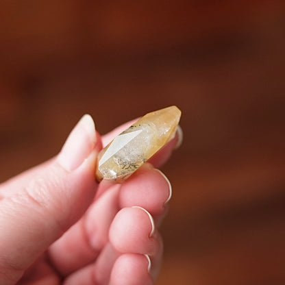 Dendritic Quartz Hexagon | Golden Healer Crystal Jewel | Star of David