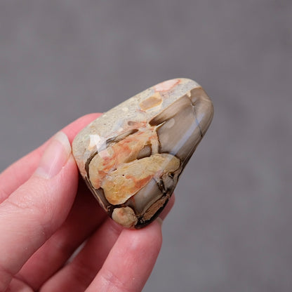 Australian Peanut Wood  | Polished Peanut Wood Crystal Freeform