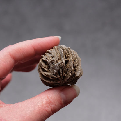 Desert Rose Selenite Specimen | Gypsum Raw Crystal